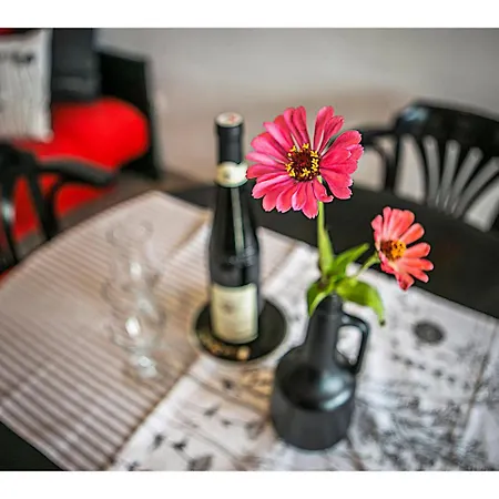Apartament Alebic *